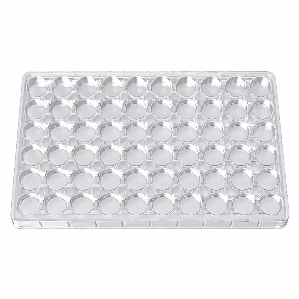 Bandeja de batom ecológica de qualidade alimentar